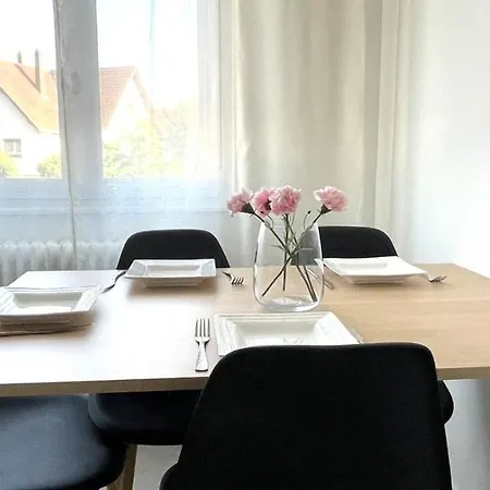 Strasbourg Centre Historique Acces Direct En Tram Et Aeroport Apartament