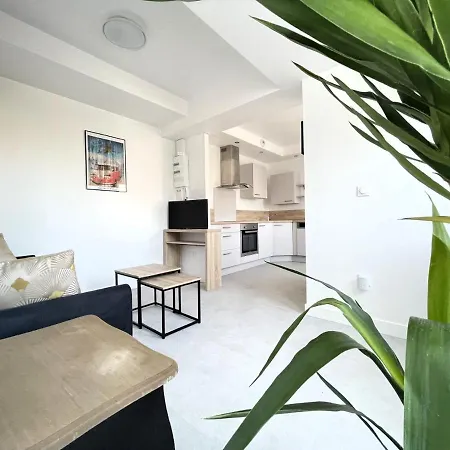 Strasbourg Centre Historique Acces Direct En Tram Et Aeroport