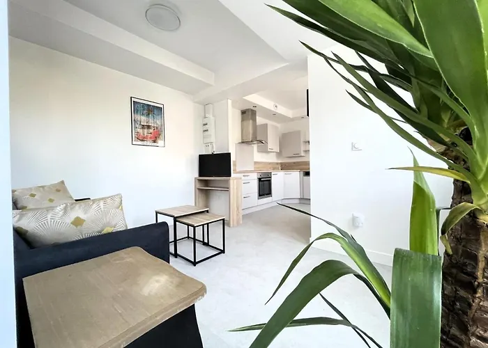 Strasbourg Centre Historique Acces Direct En Tram Et Aeroport